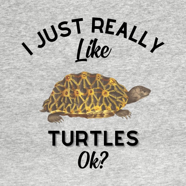 I Just Really Like Turtles OK by GoodWills